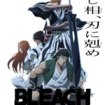 BLEACH 1000 year Blood War  ep33